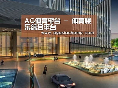 案例展示二(图1)