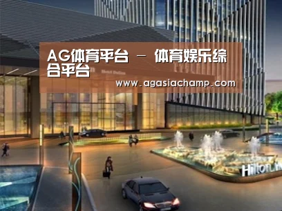 案例展示二