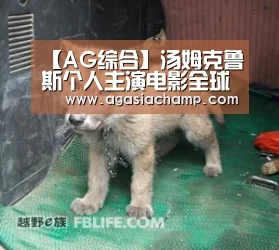 【AG综合】汤姆克鲁斯个人主演电影全球票房破100亿美元 《碟中谍6》将成最高(图4) AG直播