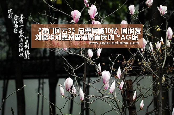 AG综合