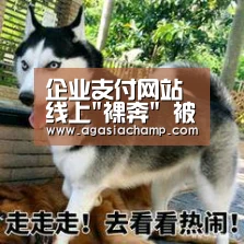企业支付网站线上裸奔 被黑客盗走730万元还要受罚|AG综合(图4) AG入口