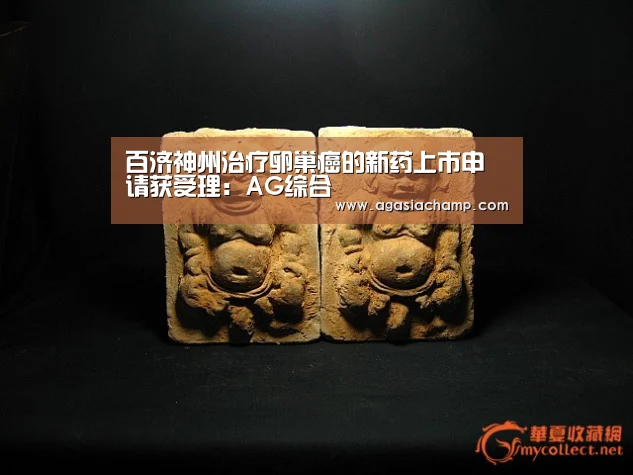 百济神州治疗卵巢癌的新药上市申请获受理:AG综合(图2) AG直播